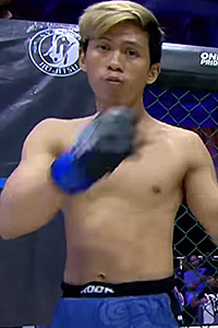 Panji Widodo